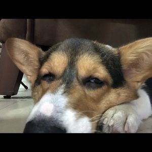 Meet your Posher, Mark